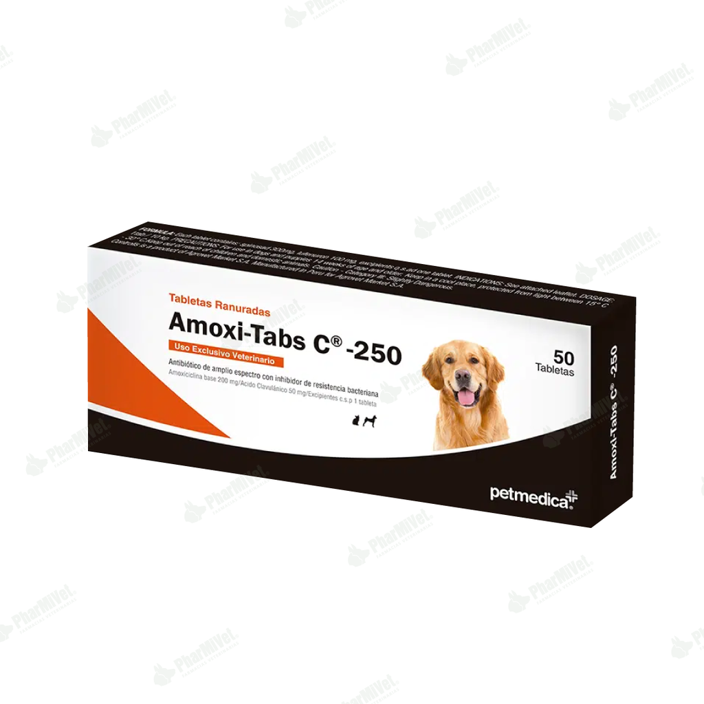 AMOXI TABS C 250 MG X 50 UND