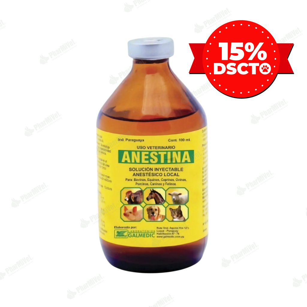 ANESTINA X 100 ML