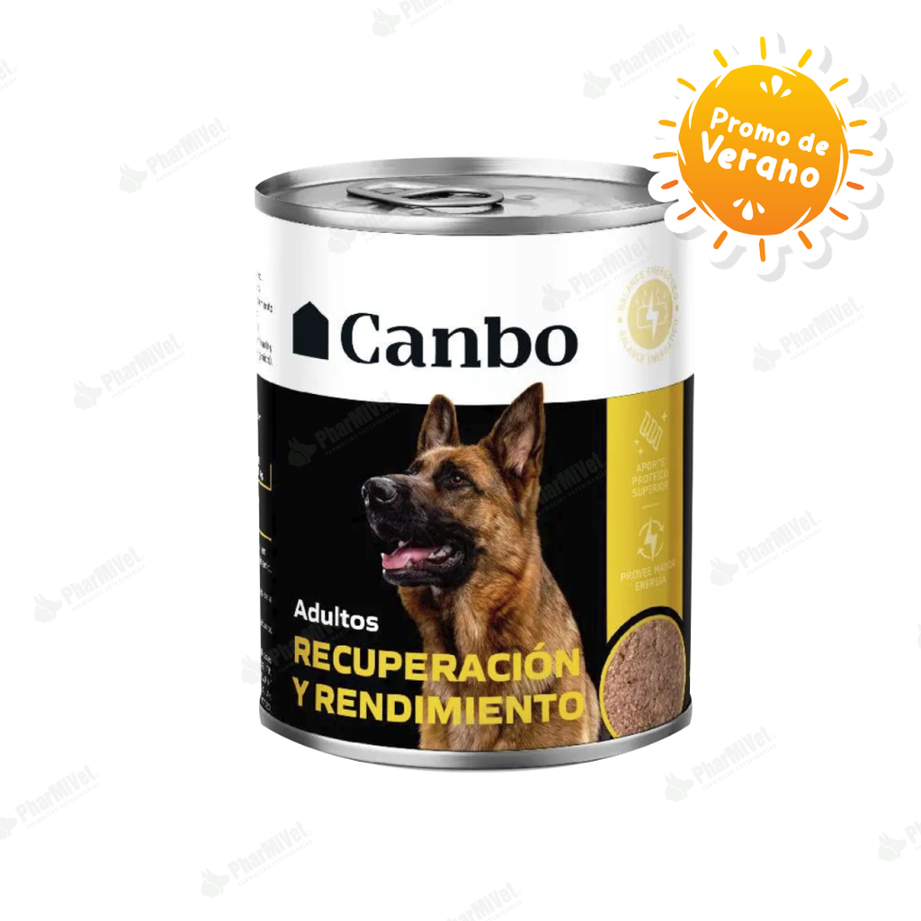 CANBO S.P. LATA ADULTO RECUPERACION Y RENDIMIENTO X 11 OZ