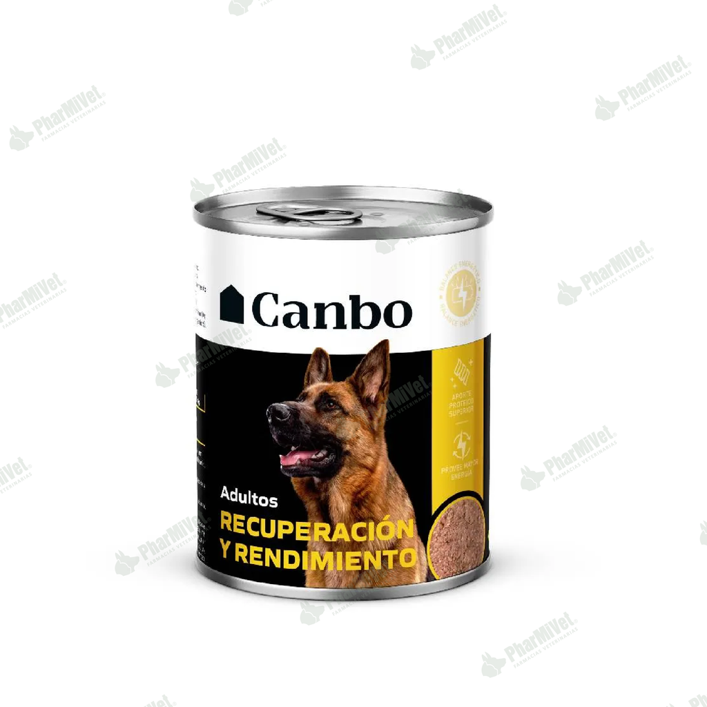 CANBO S.P. LATA ADULTO RECUPERACION Y RENDIMIENTO X 11 OZ