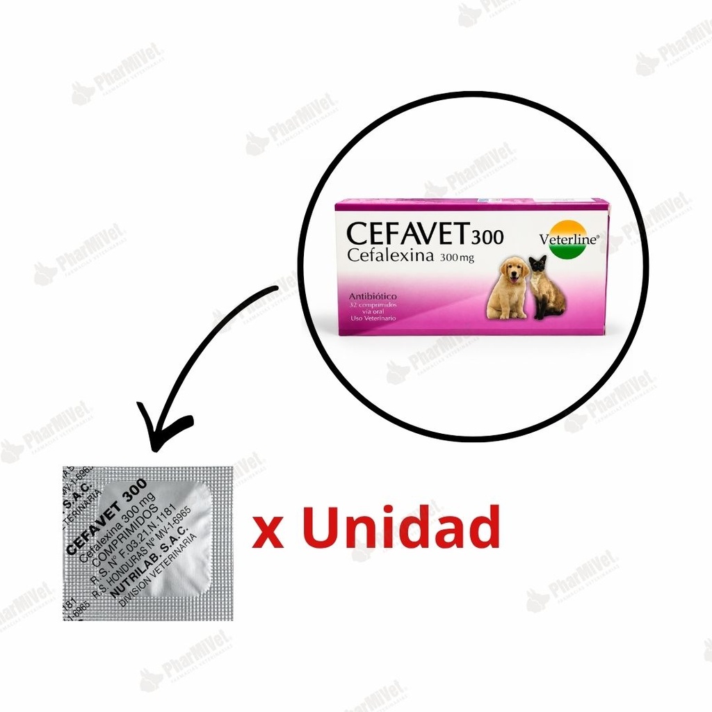 CEFAVET 300 MG X UND