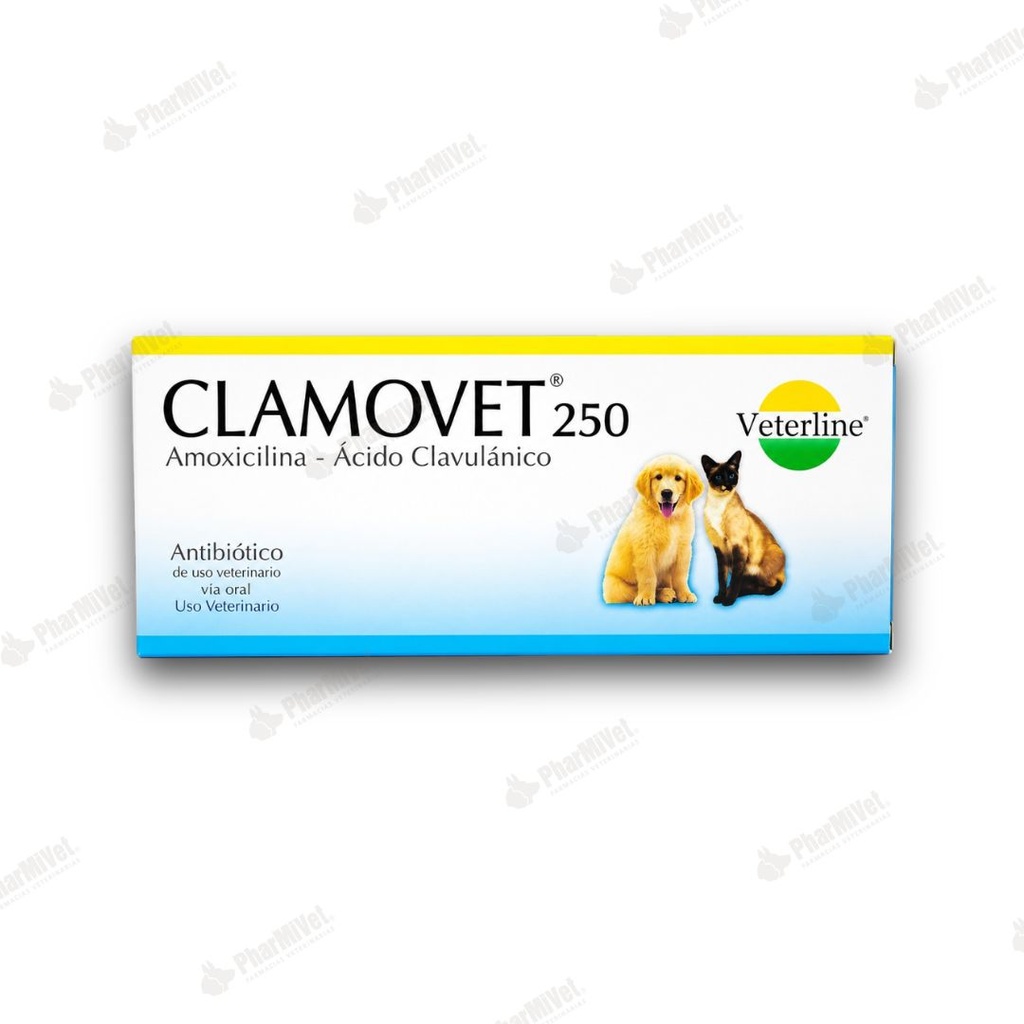 CLAMOVET 250 MG X 40 TAB