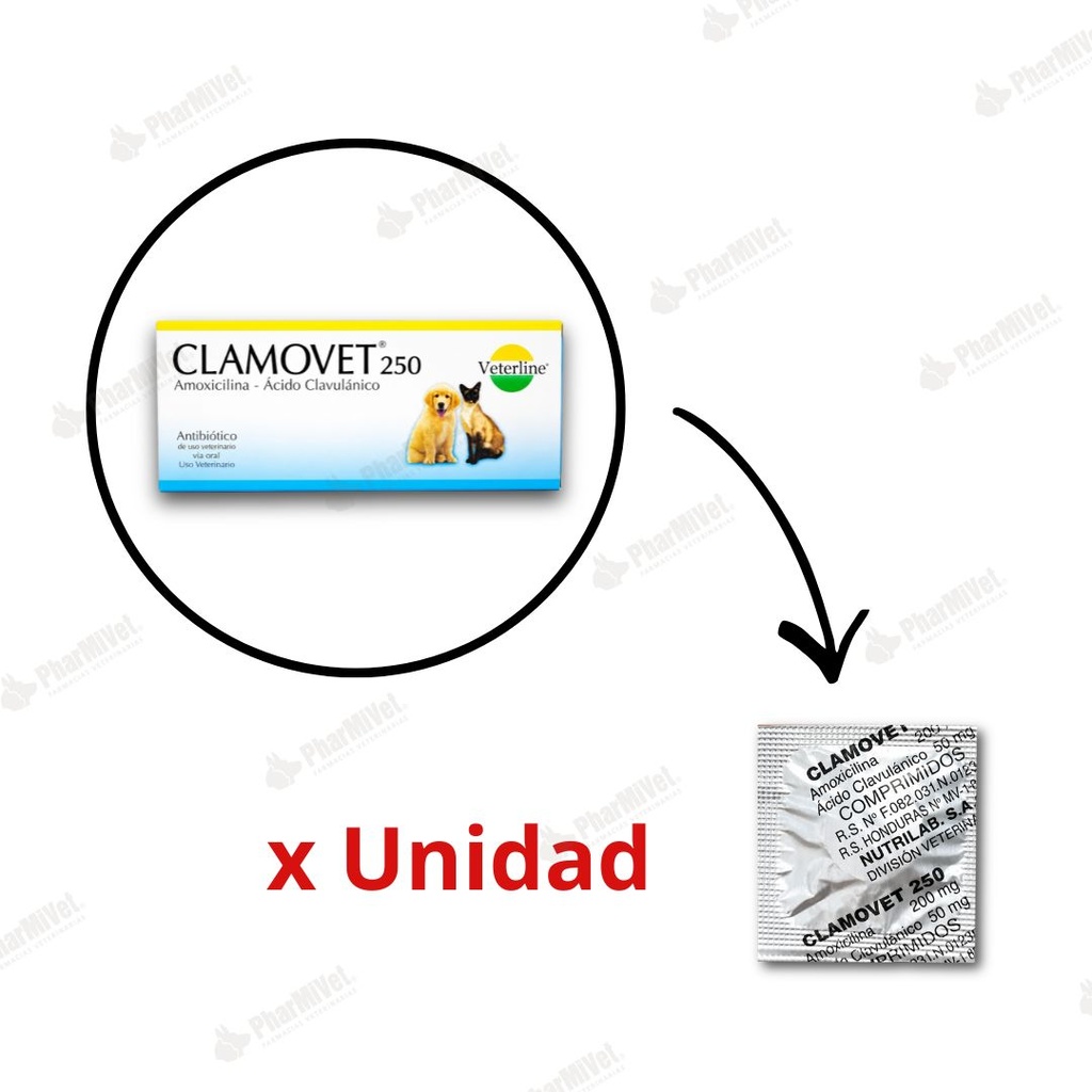 CLAMOVET 250 MG X UND