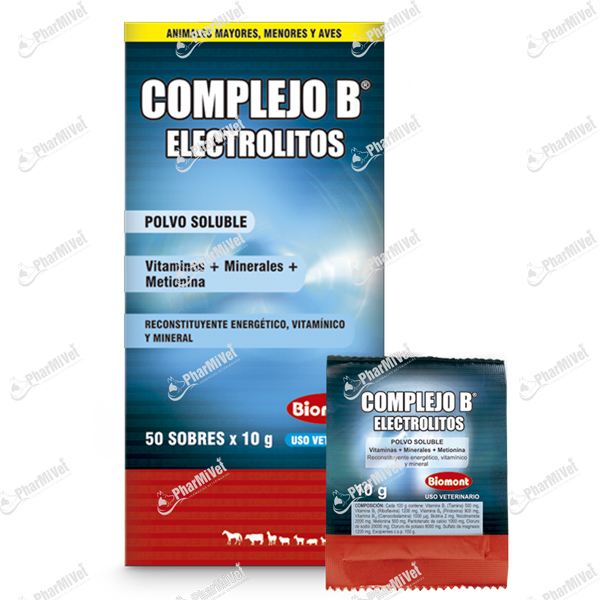 COMPLEJO B C/ELECTROLITOS X 10 GR