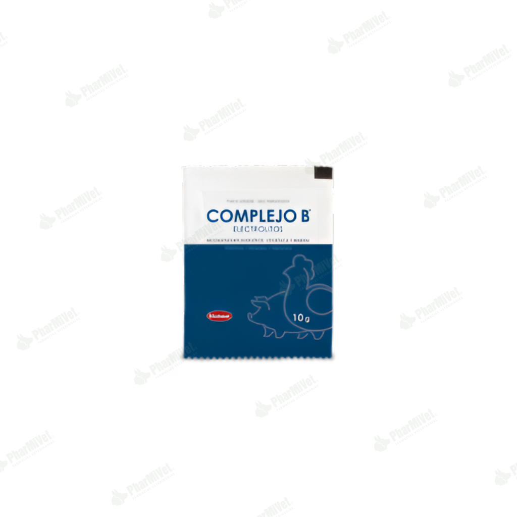 COMPLEJO B C/ELECTROLITOS X 10 GR