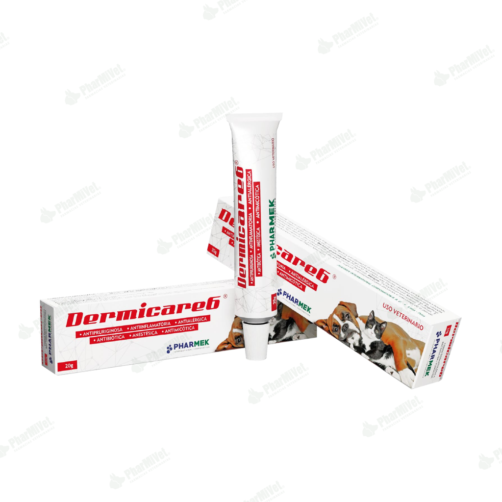 DERMICARE 6 X 20 GR