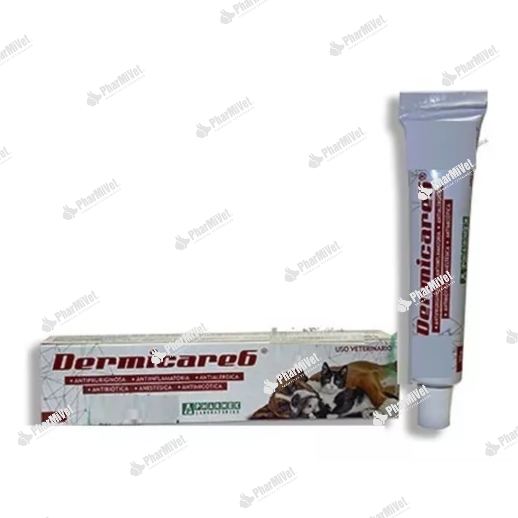 DERMICARE 6 X 20 GR