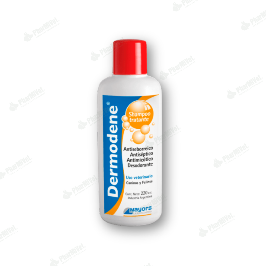 DERMODENE SHAMPOO X 220