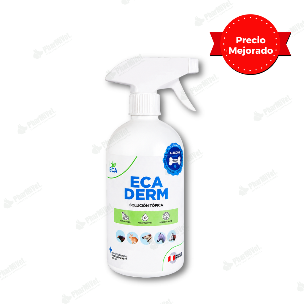 ECADERM SPRAY X 500 ML