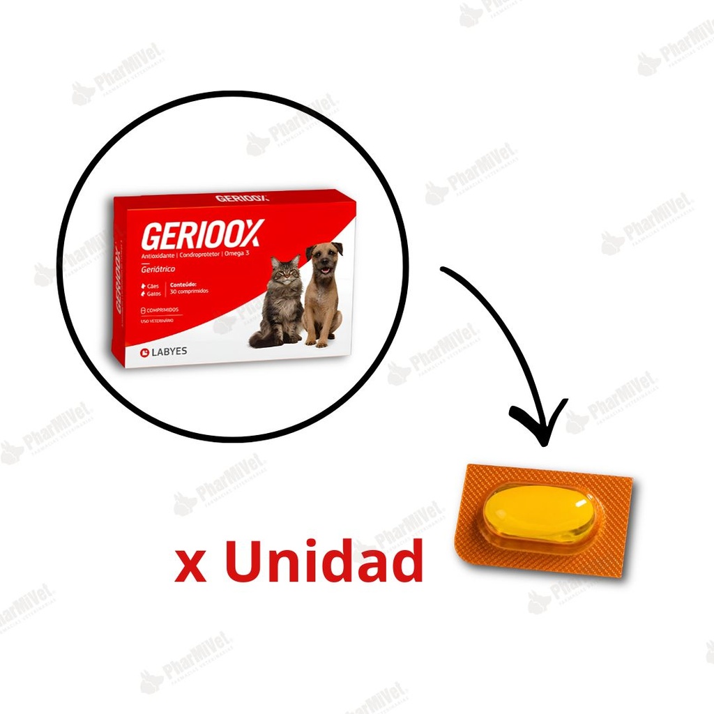 GERIOOX X UND