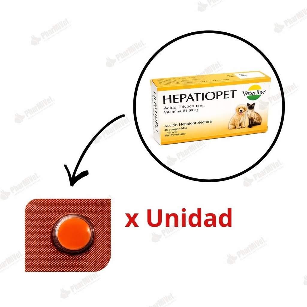 HEPATIOPET X UND