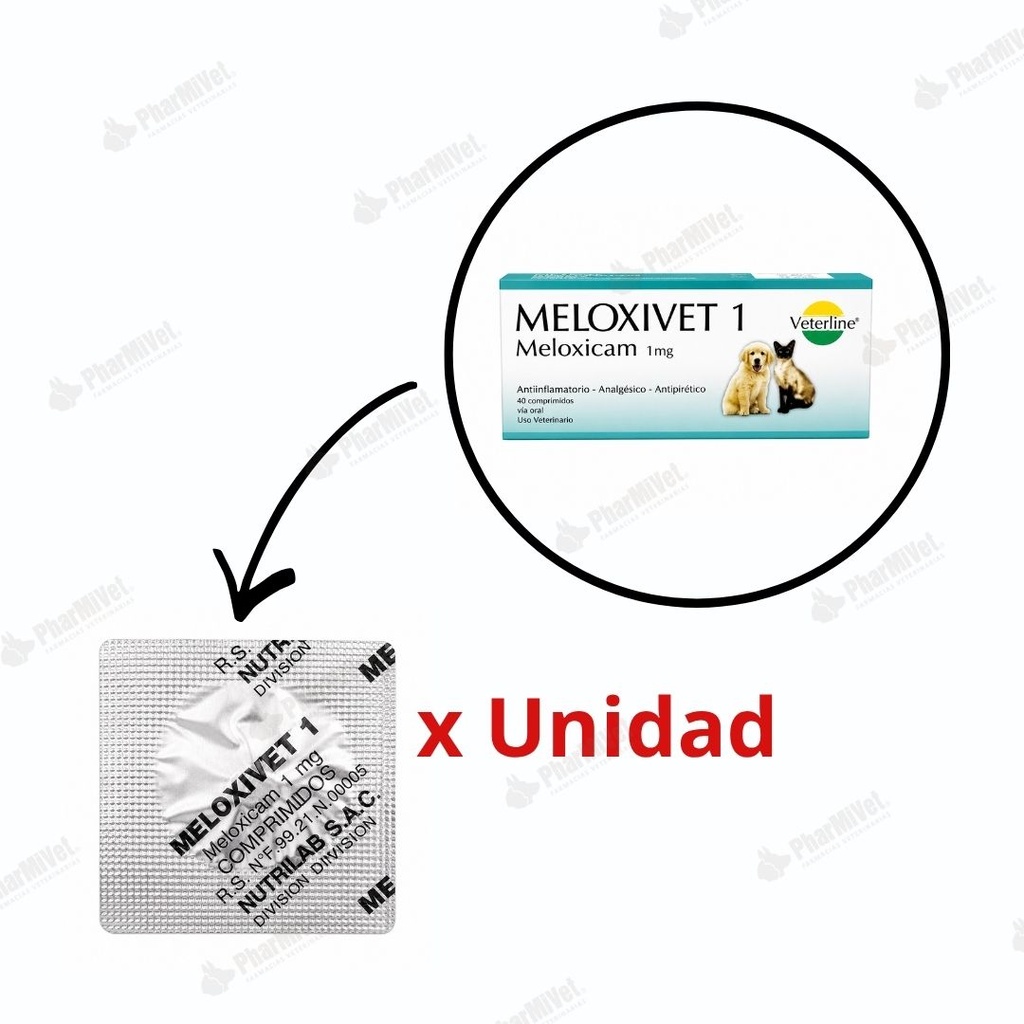 MELOXIVET 1 MG X UND