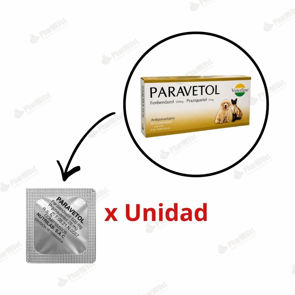 DESPARASITANTE PARAVETOL X UND