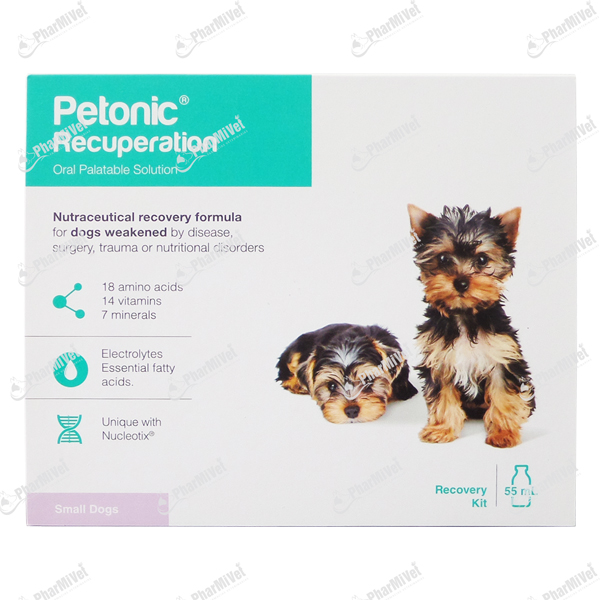PETONIC RECUPERATION X 55 ML