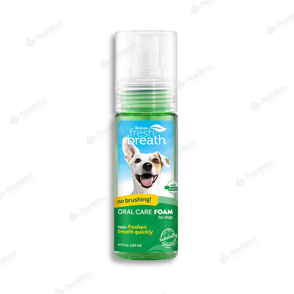 ESPUMA PARA EL CUIDADO DENTAL X 133 ML