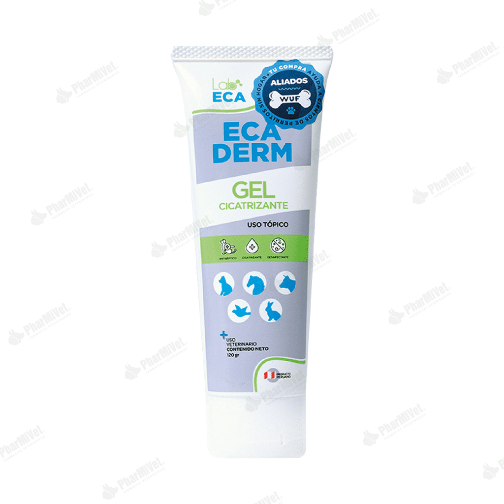 ECADERM GEL X 120 GR