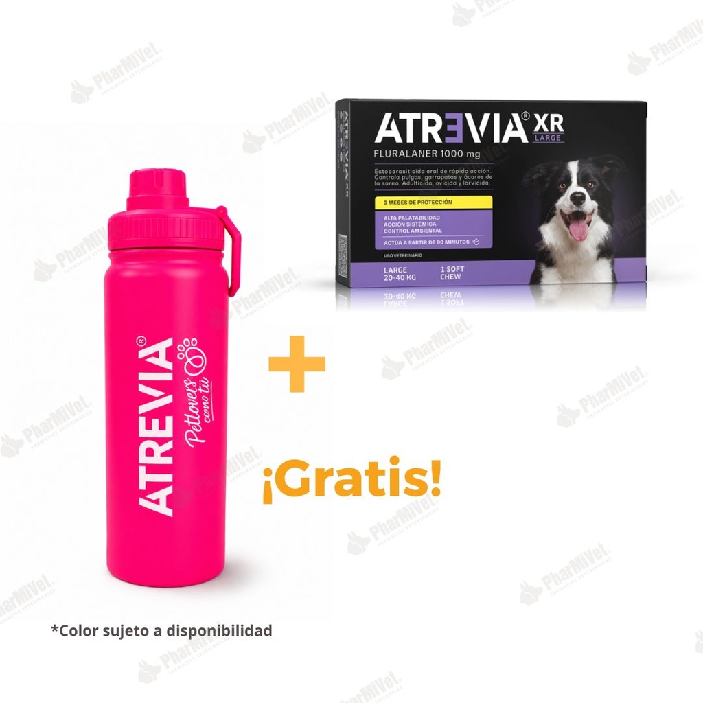ATREVIA XR LARGE DE 20 - 40 KG X 1 TAB