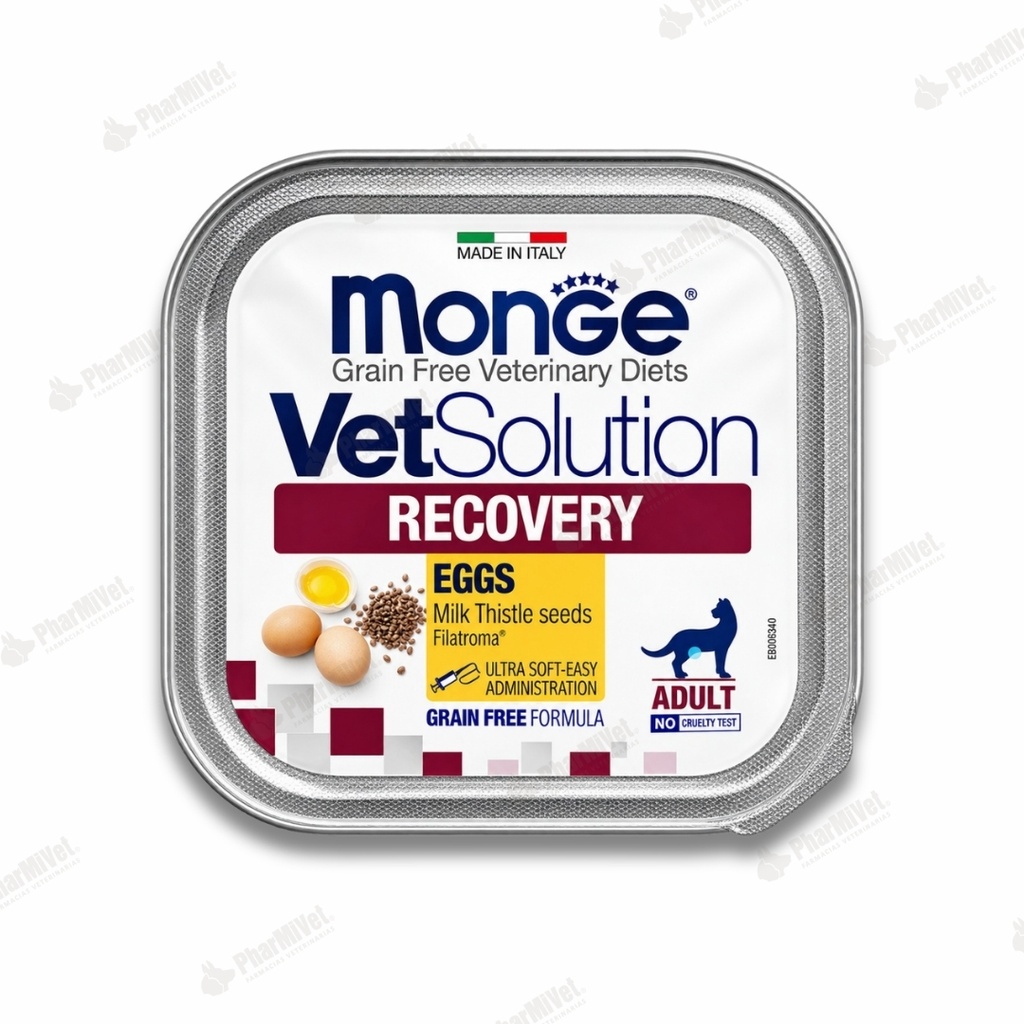 VET SOLUTION FELINE RECOVERY X 100 GR
