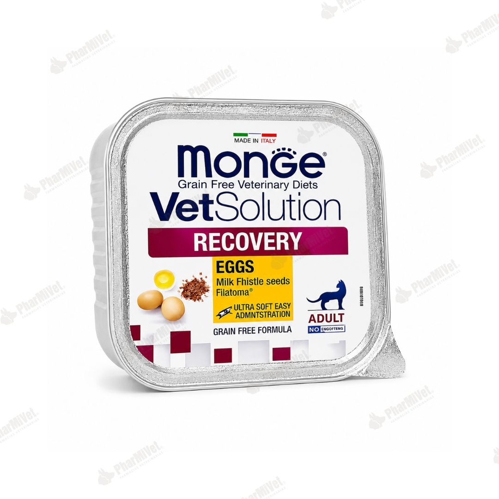 VET SOLUTION FELINE RECOVERY X 100 GR