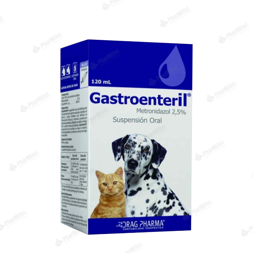 GASTROENTERIL X 120 ML