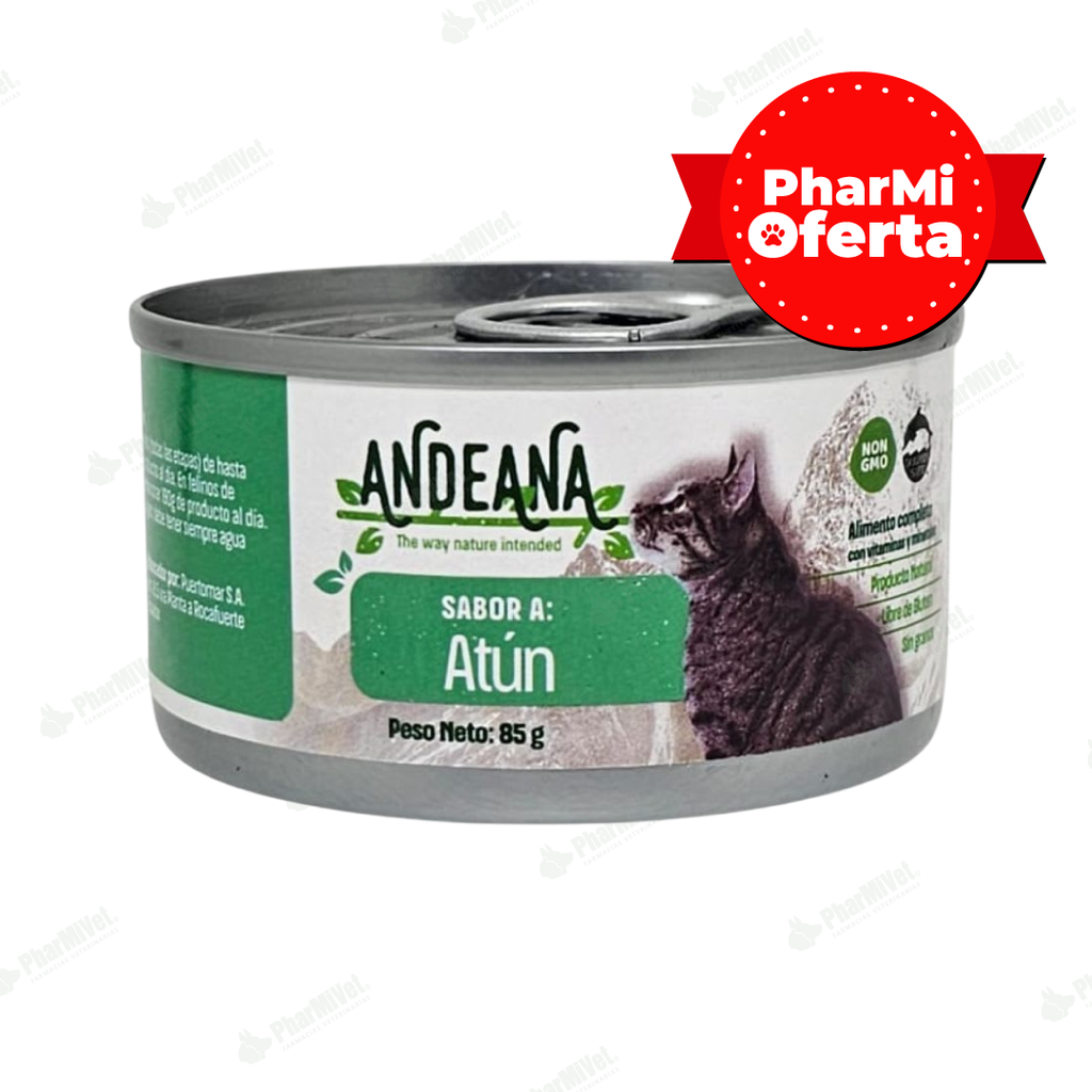 ANDEANA  ATUN X 85 GR