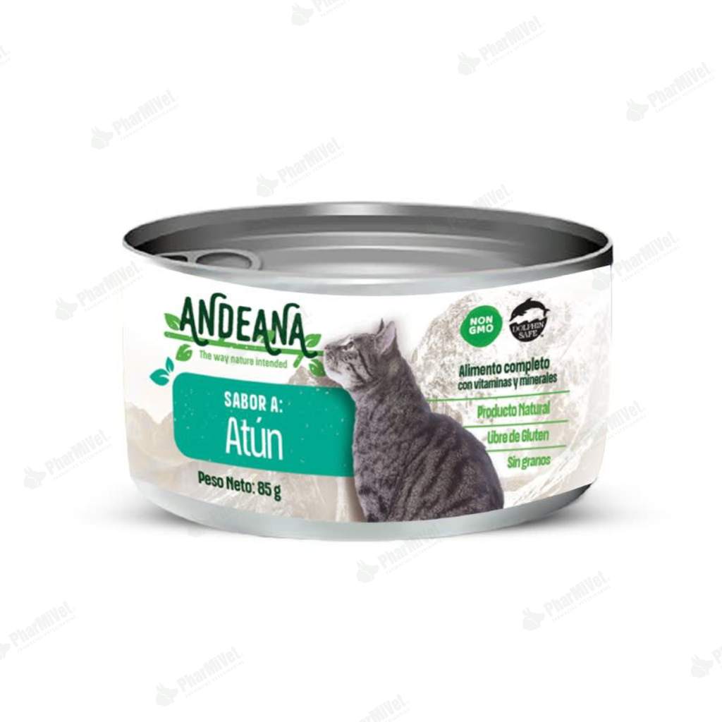 ANDEANA  ATUN X 85 GR