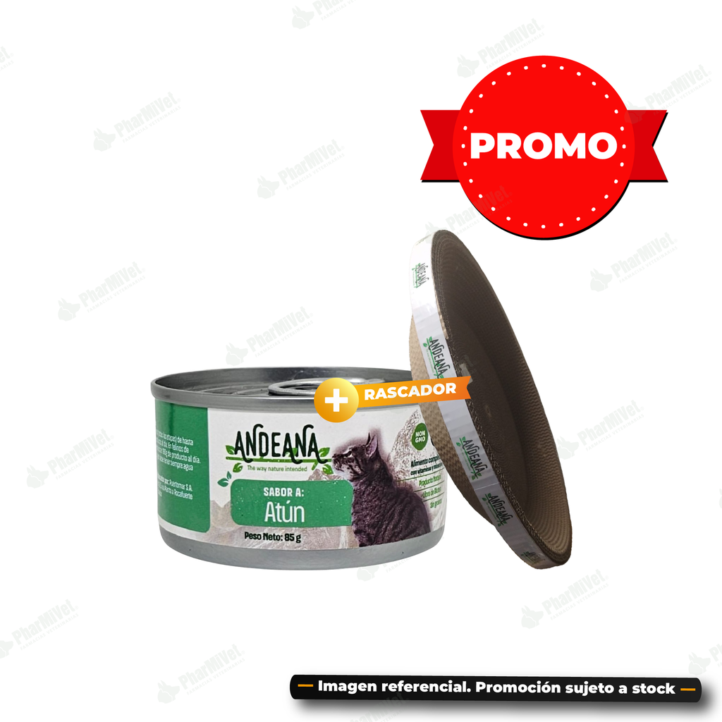 ANDEANA  ATUN X 85 GR