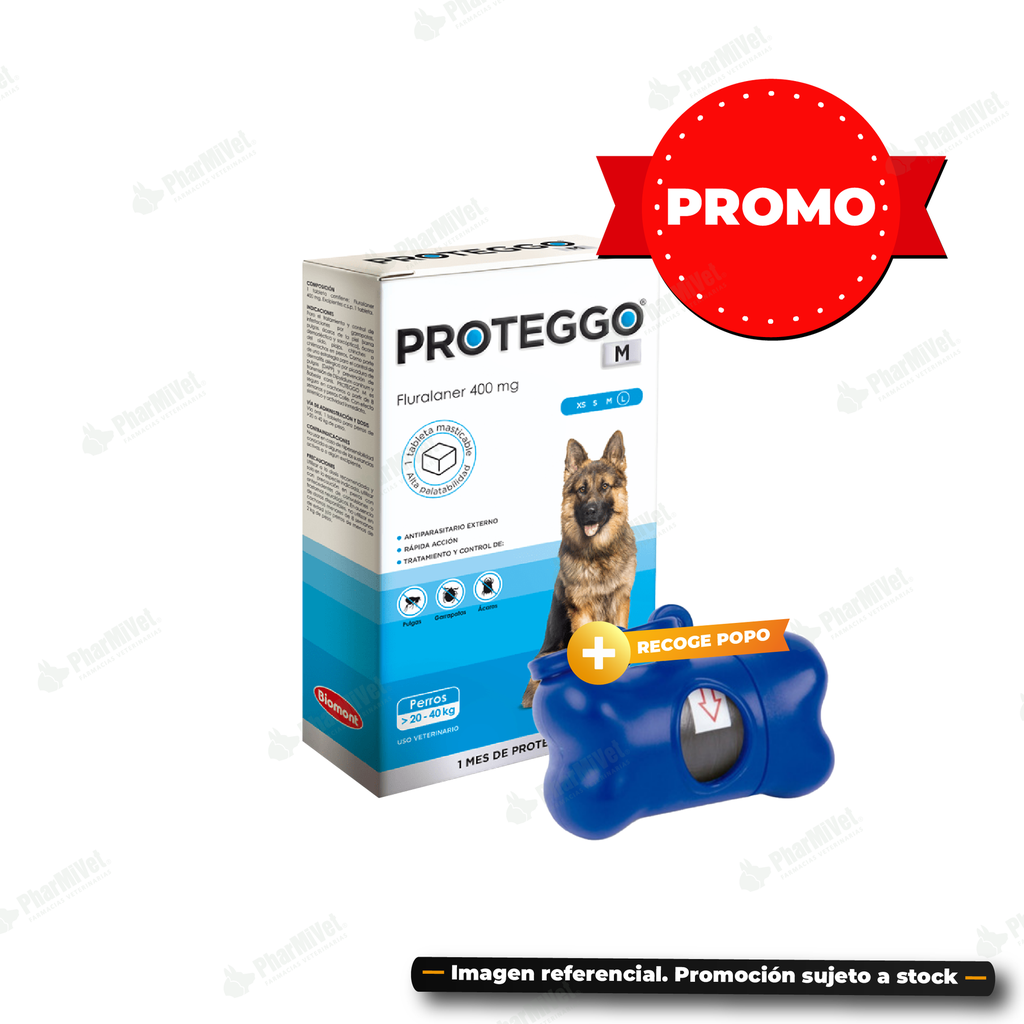 PROTEGGO 1M 400 MG DE 20 - 40 KG