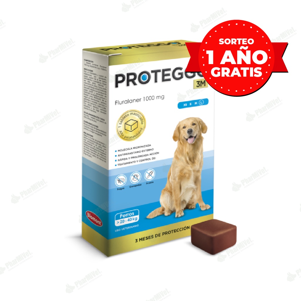 PROTEGGO 3M 1000 MG DE 20 - 40 KG