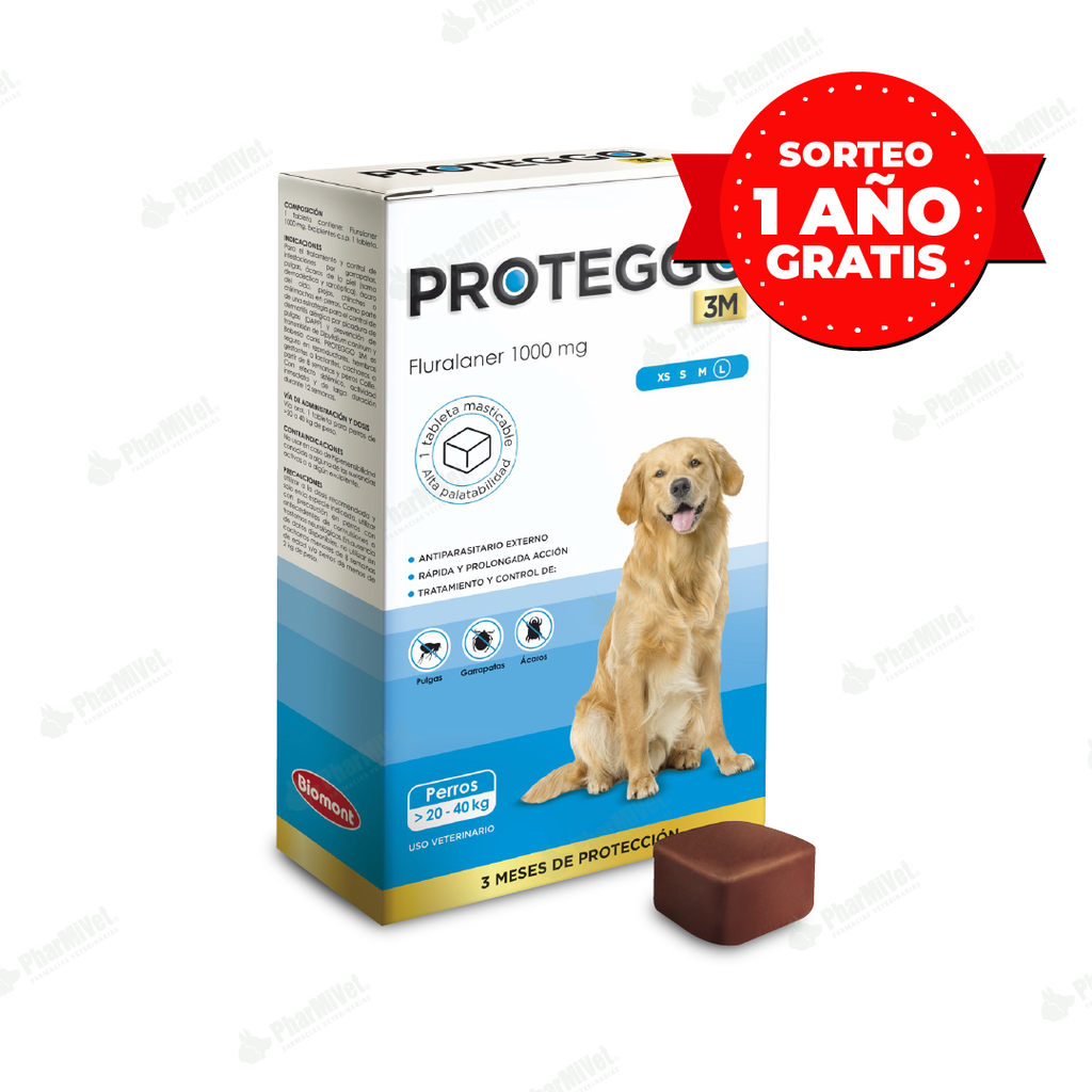PROTEGGO 3M 1000 MG DE 20 - 40 KG