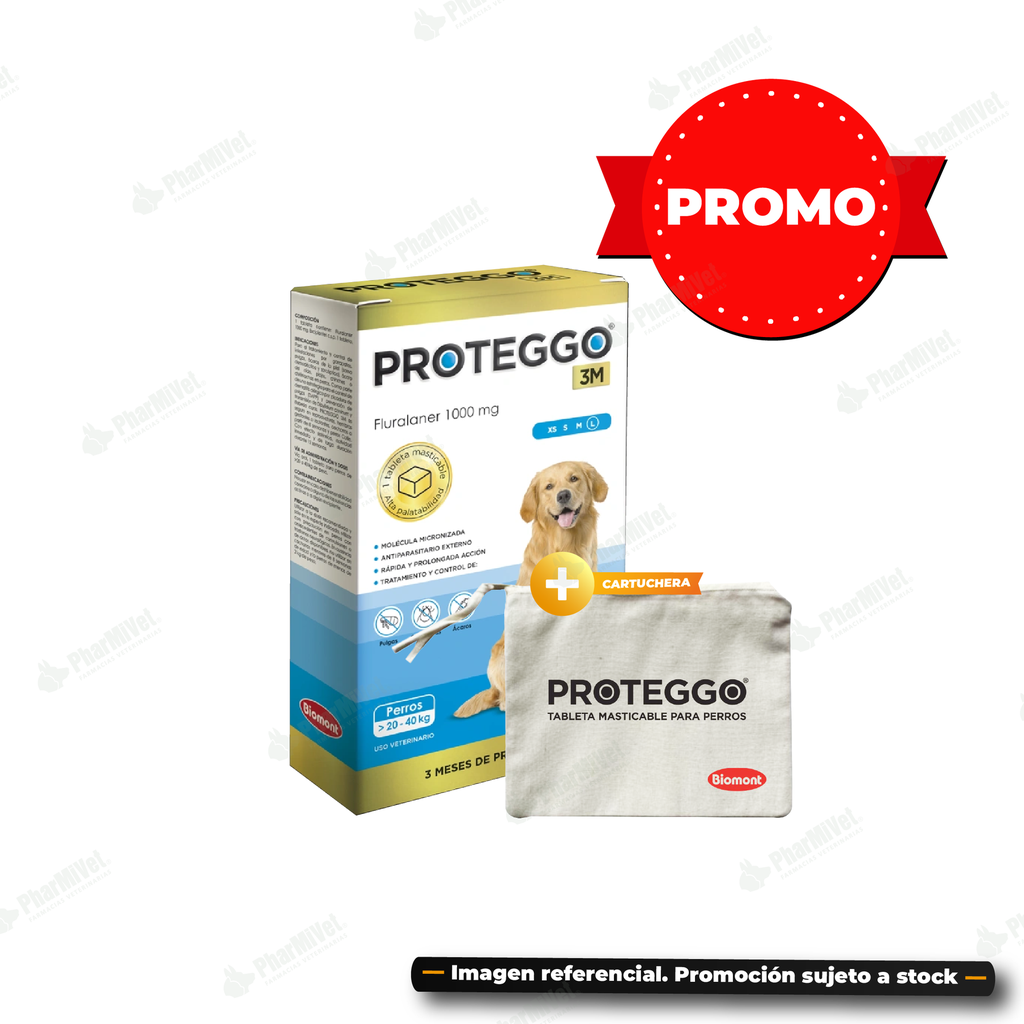 PROTEGGO 3M 1000 MG DE 20 - 40 KG