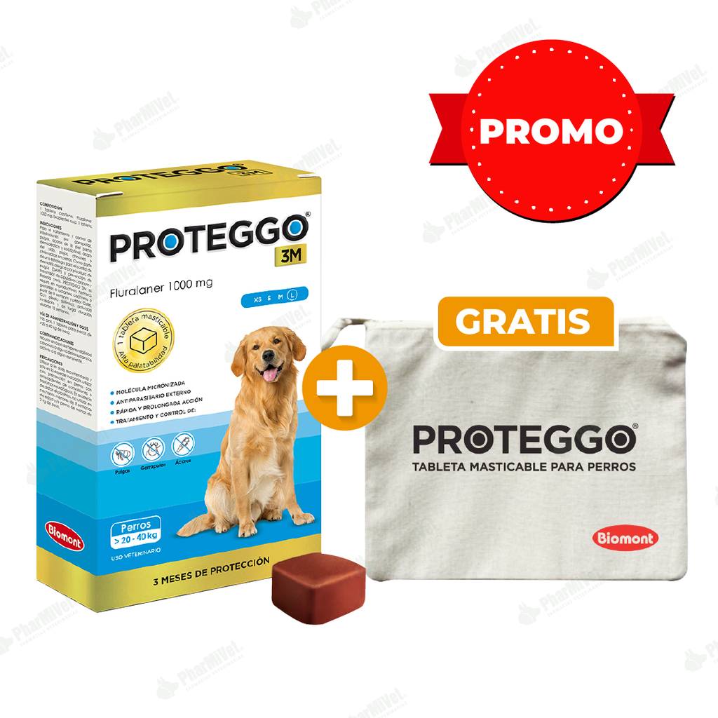 PROTEGGO 3M 1000 MG DE 20 - 40 KG