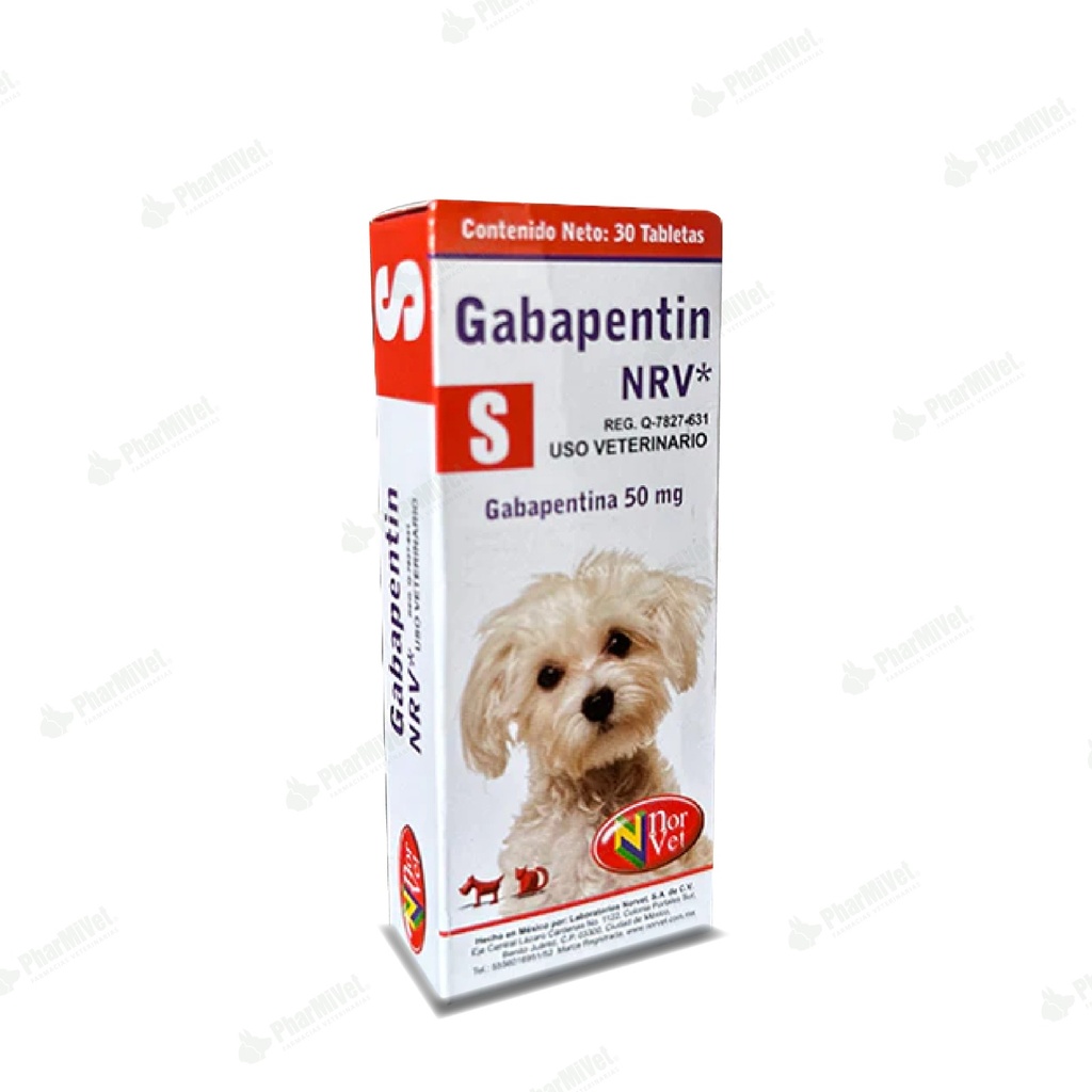 GABAPENTIN-S X TAB
