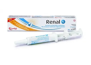 RENAL N PASTA X 15 ML