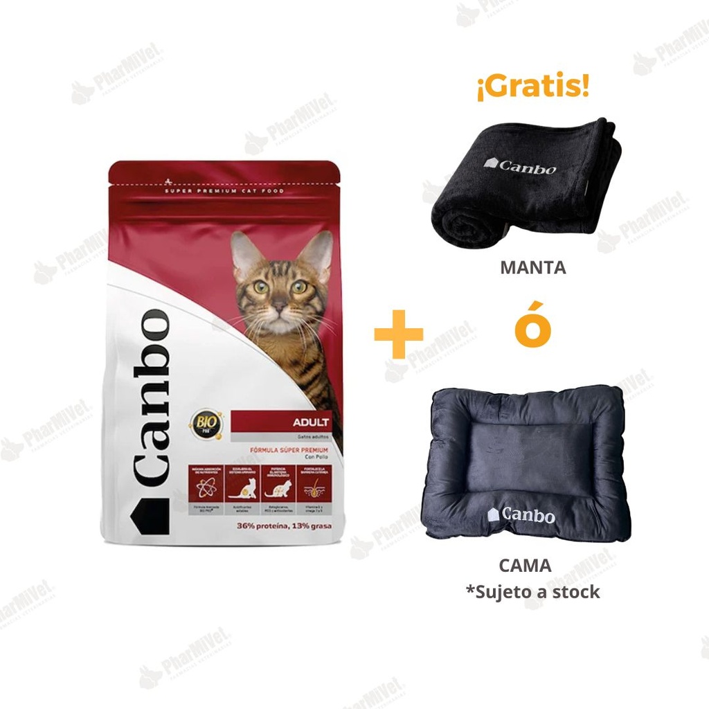 CANBO CAT POLLO T.RZ AD 3KG