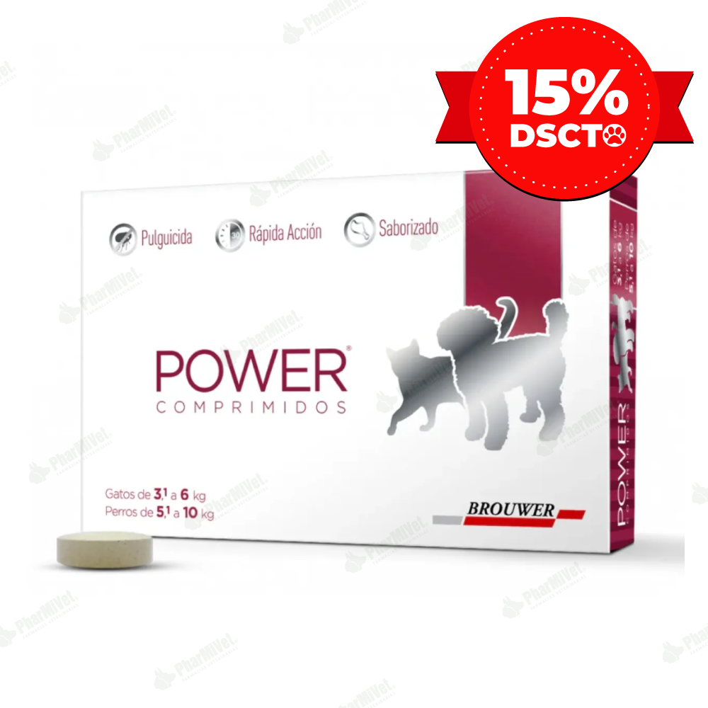 POWER COMP. 3.1 - 6 GATO
