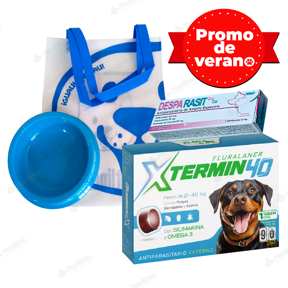 X TERMIN 40X1 TAB (21-40 KG)