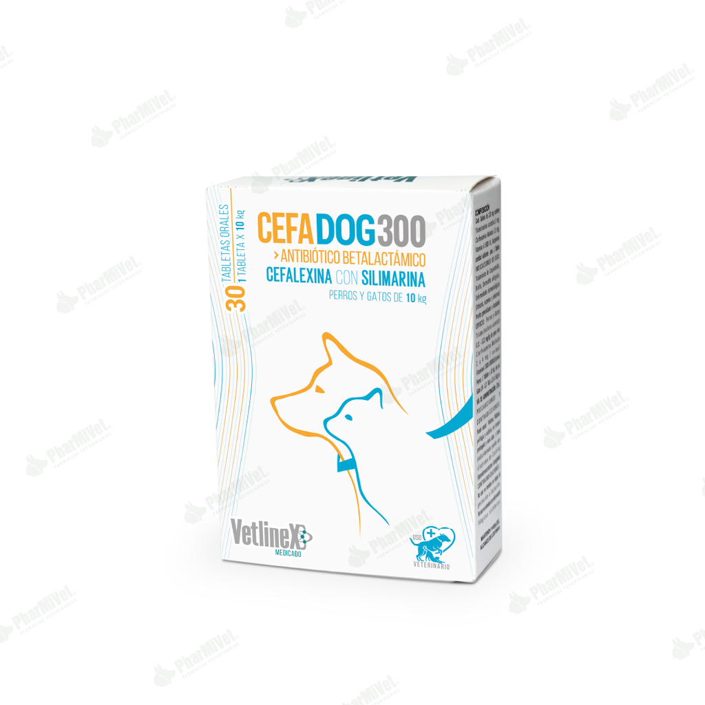 CEFADOG 300 X TB