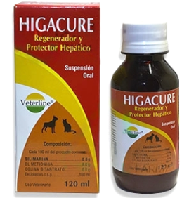 HIGACURE JARABE X 120 ML