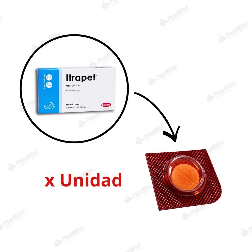 ITRAPET X UND