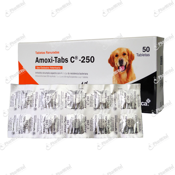 [82020303085] AMOXI TABS C 250 MG X UND