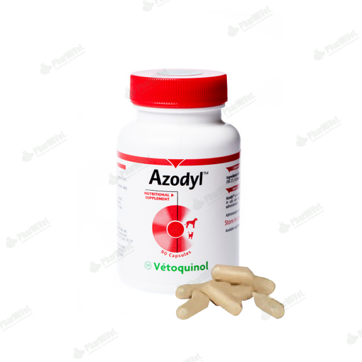 [82020513003] AZODYL X CAP
