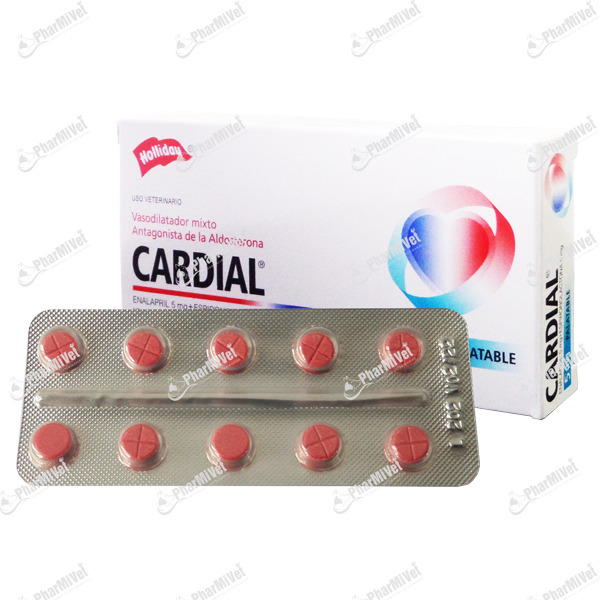 [82020505005] CARDIAL X UND