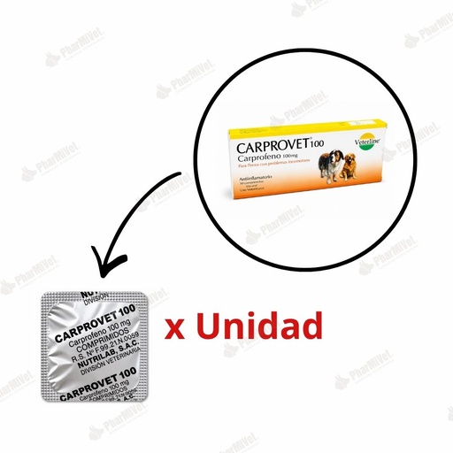 [82020306015] CARPROVET 100 MG X UND