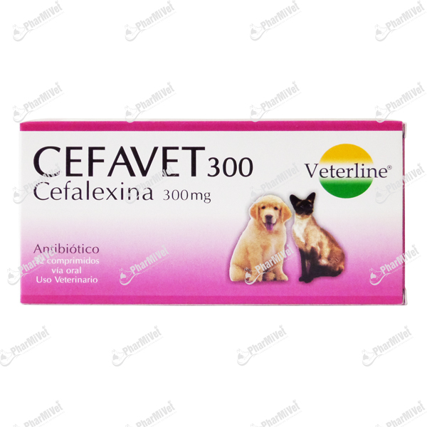 [81020303107] CEFAVET 300 MG X 32 TAB