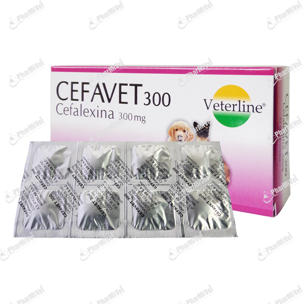[82020303108] CEFAVET 300 MG X UND