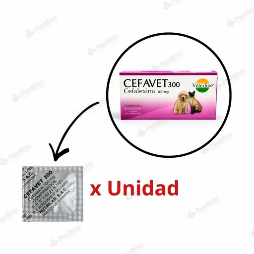 [82020303108] CEFAVET 300 MG X UND