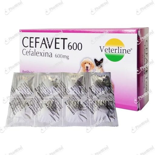 [82020303110] CEFAVET 600 MG X UND