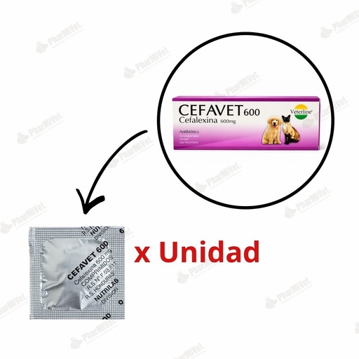 [82020303110] CEFAVET 600 MG X UND