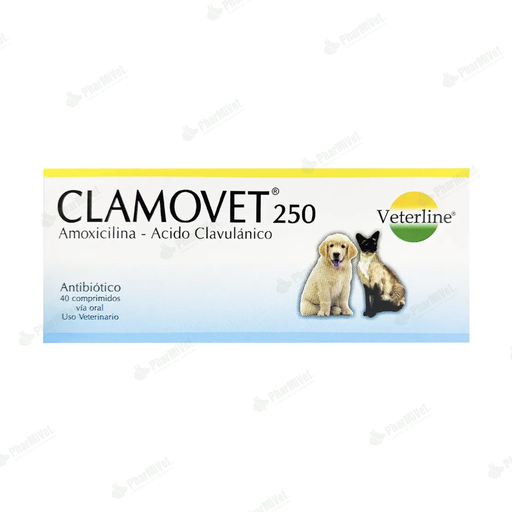 [81020303015] CLAMOVET 250 MG X 40 TAB